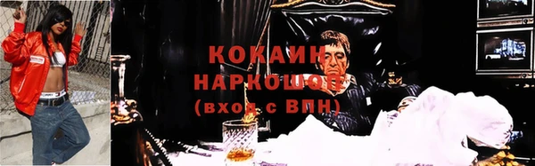 сатива Касимов