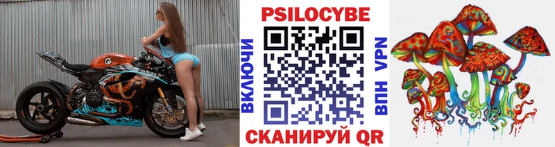 где купить   shop наркотические препараты  Галлюциногенные грибы прущие грибы  Киренск 
